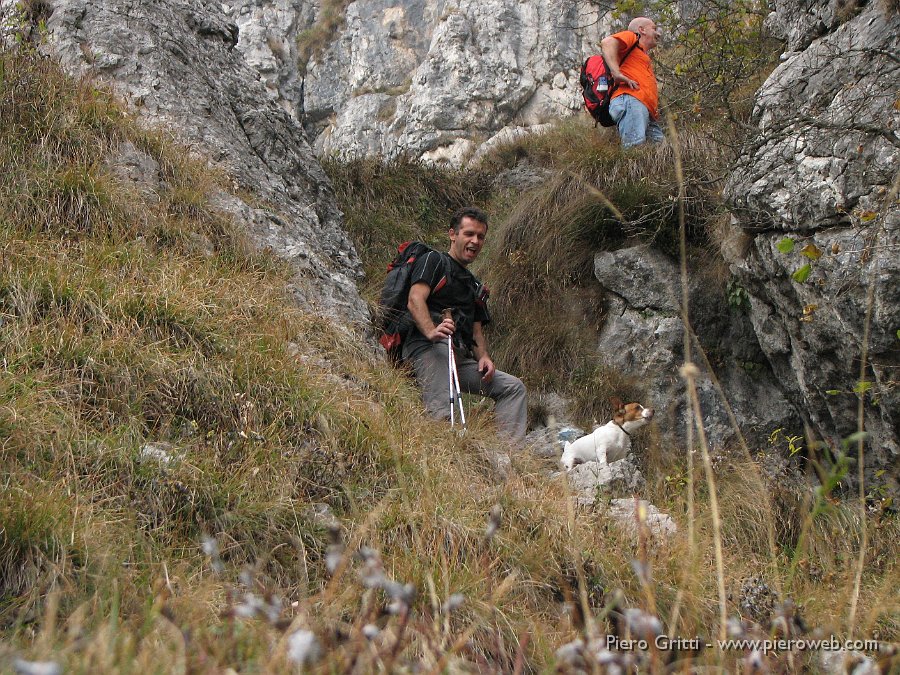 cancervo102 089.jpg - Cane in vista...Teddy si annuncia!